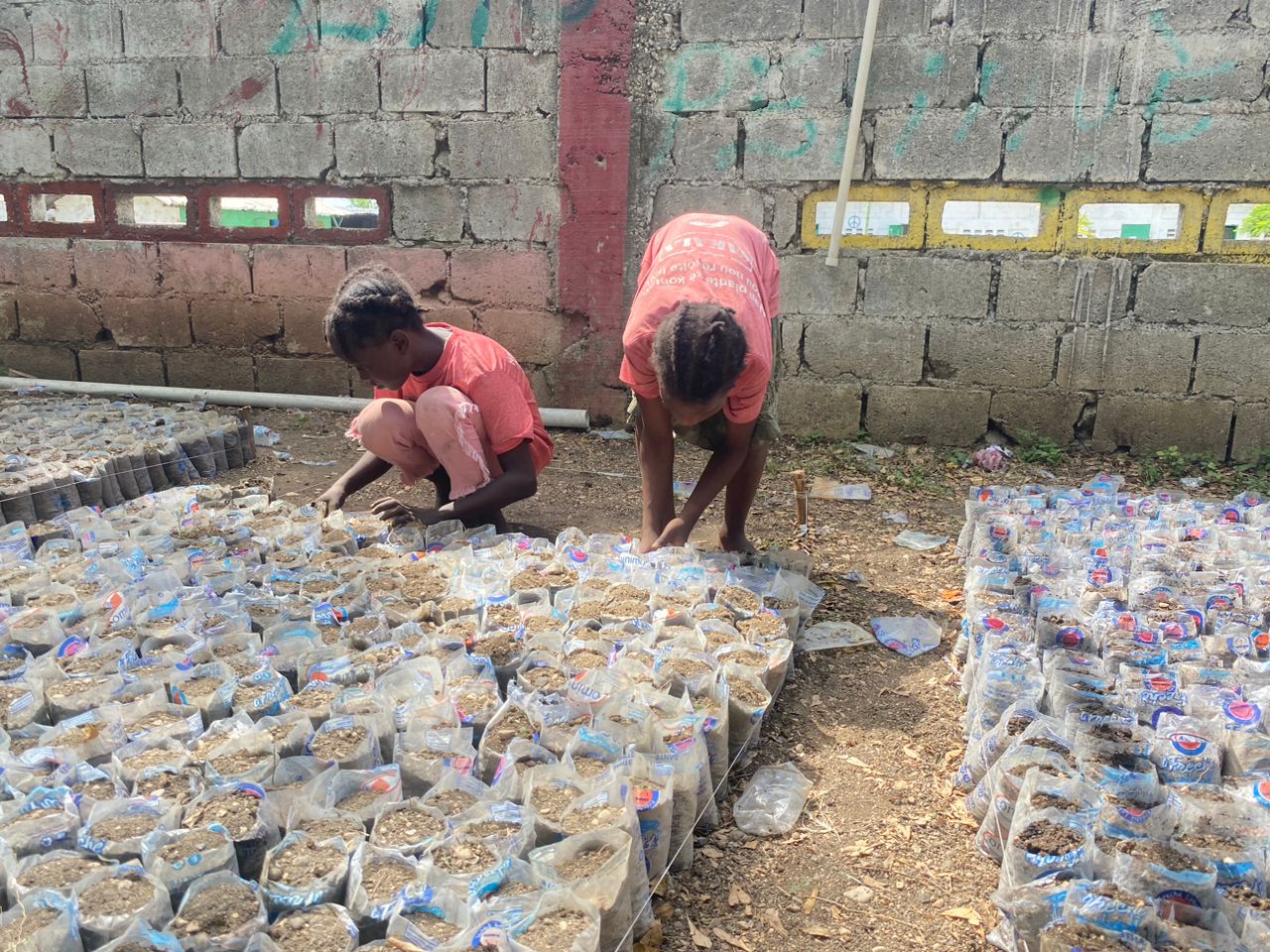 Two young women in SAKALA shirts working systematically with hundreds of nursery seedling bags